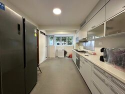 Dunearn Road (D11), Condominium #498850071